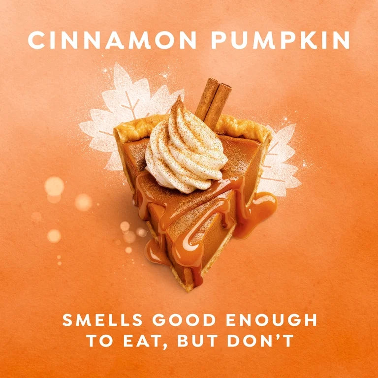 Dove Limited Edition Holiday Treats Body Wash for Deep Nourishment Cinnamon Pumpkin ,20 fl oz