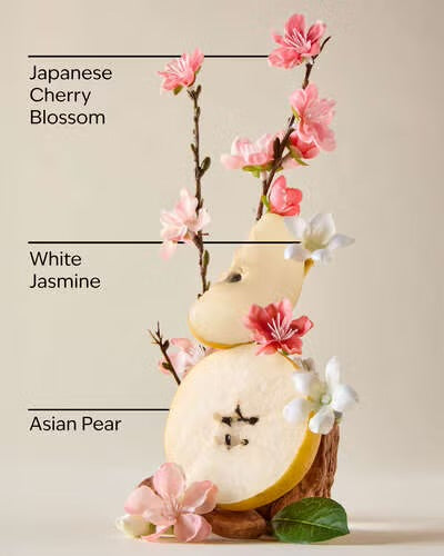 Japanese Cherry Blossom
Body Lotion