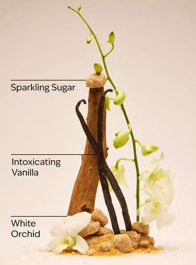 Warm Vanilla Sugar
Body Lotion