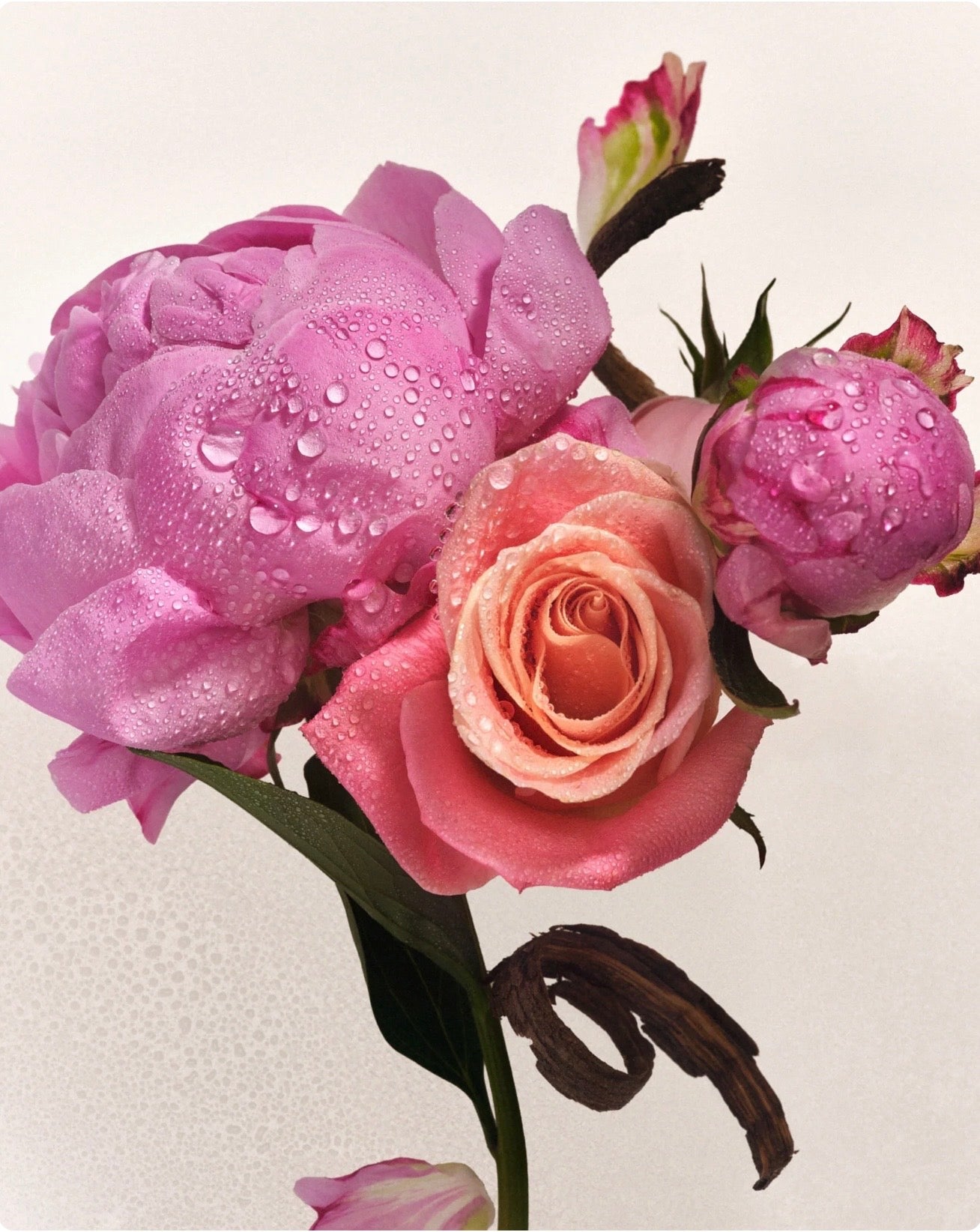 Petal Bloom Hair & Body Mist
Fine Fragrance • Long‑Lasting • Layerable • Dual‑Purpose