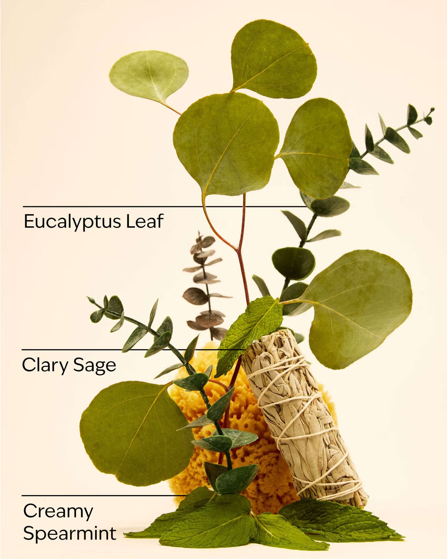 Aromatherapy  Eucalyptus Spearmint PocketBac Hand Sanitizer