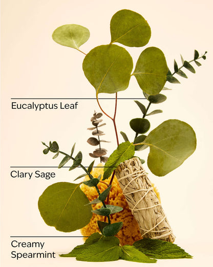 Aromatherapy  Eucalyptus Spearmint PocketBac Hand Sanitizer