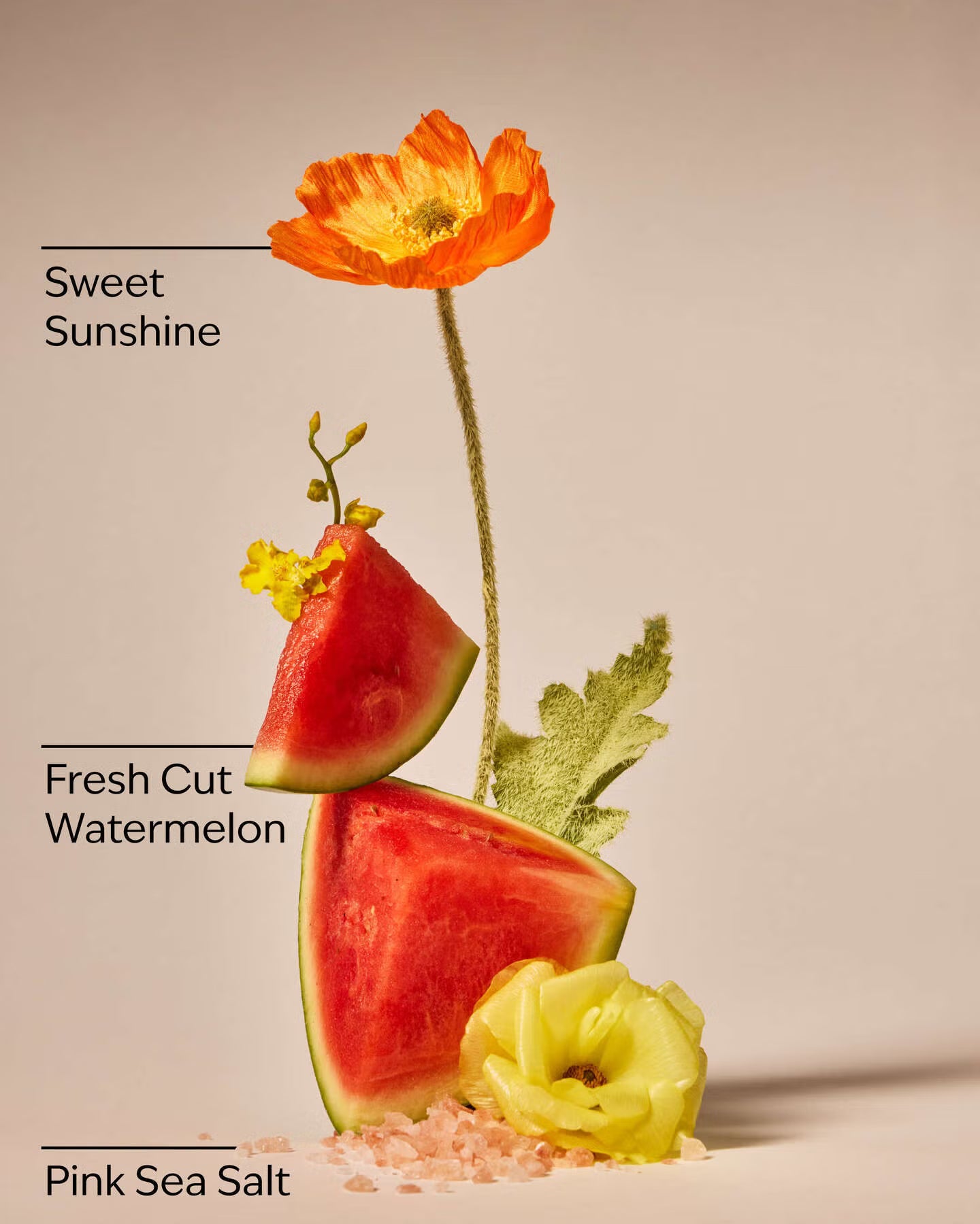 Fresh Watermelon PocketBac Hand Sanitizer