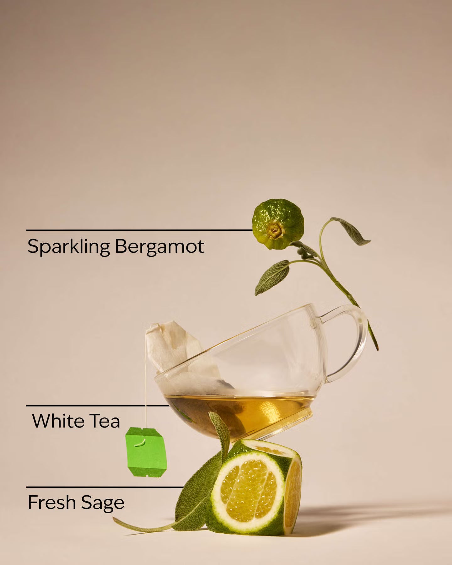 White Barn  White Tea & Sage PocketBac Hand Sanitizer